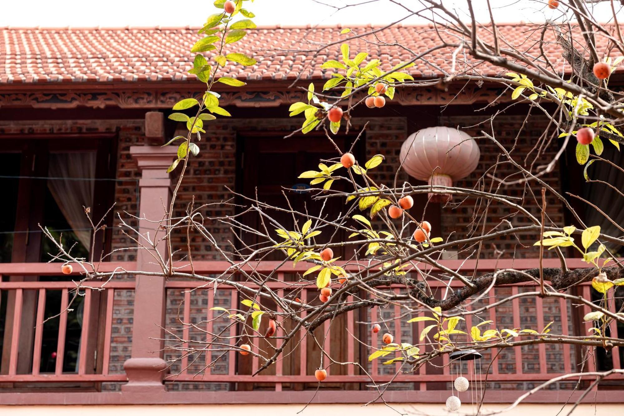 Tam Coc Ngoc Linh Bungalow Ninh Binh Buitenkant foto